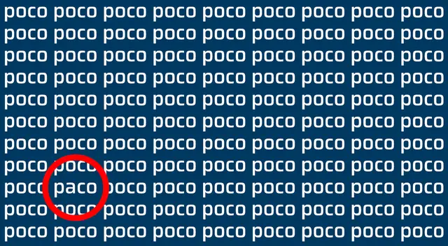 <strong>La palabra escondida era "paco"</strong>   