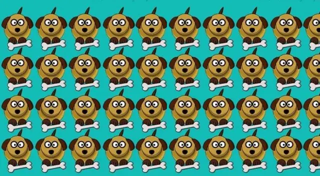 Reto visual halla el perro diferente en solo 8 segundos Reto visual halla el perro diferente en solo 8 segundos