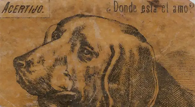 ¿Podrás encontrar al dueño del perro? Pon a prueba tus habilidades con este acertijo