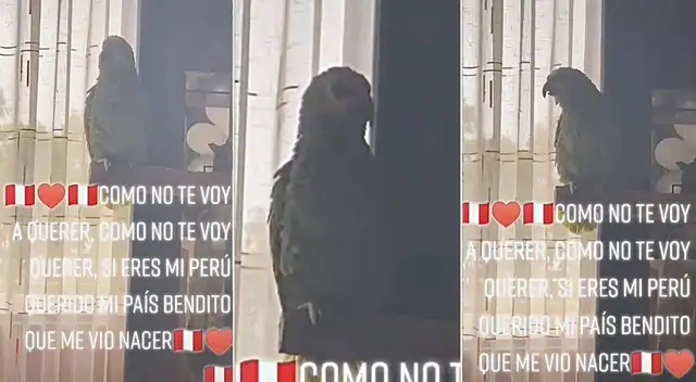 La mascota emocionó a más de un usuario de Tik Tok.