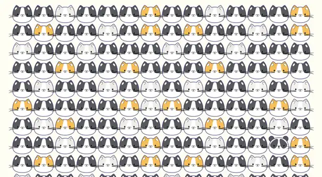 ¿Dónde está el panda?