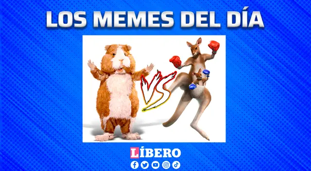 Cuy vs canguro, el divertido gráfico que 'calienta' el partido de repechaje.