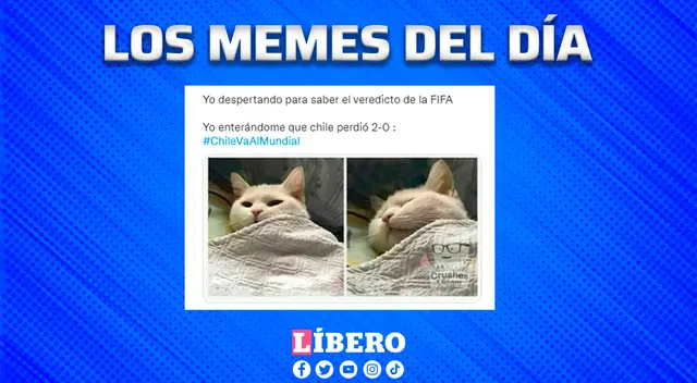 Los chilenos hoy fueron derrotados pro partida doble, madrugaron para ver a su equipo ante Túnez y para saber el fallo, embas situaciones perdieron,