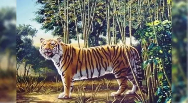 ¿Dónde está el segundo tigre? resuélvelo en 5 segundos ¿Dónde está el segundo tigre? resuélvelo en 5 segundos