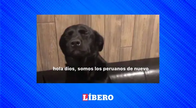 Perú logró un gran triunfo ante Australia y los memes invadieron las redes sociales Perú logró un gran triunfo ante Australia y los memes invadieron las redes sociales