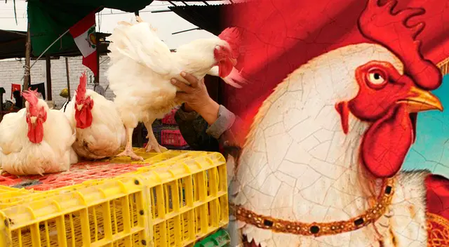 Atención Gallo Claudio Sabías que los pollos eran venerados como dioses Atención Gallo Claudio Sabías que los pollos eran venerados como dioses