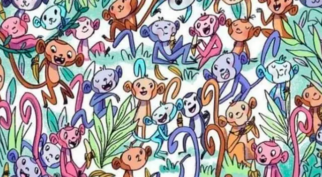 Retos visuales: estos traviesos monos han ocultado un calcetín, ¿puedes hallarlo en 5 segundos? Retos visuales: estos traviesos monos han ocultado un calcetín, ¿puedes hallarlo en 5 segundos?