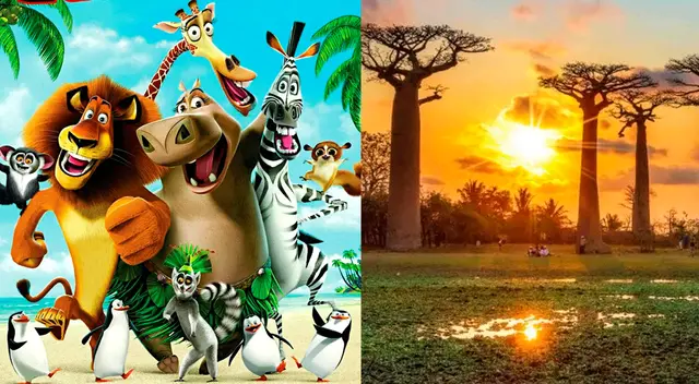 ¿Qué animales habitan este paraíso llamado Madagascar? ¿Qué animales habitan este paraíso llamado Madagascar?