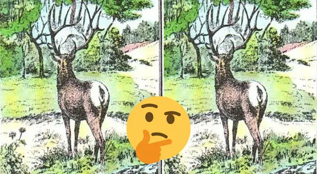¿Dónde esta el cazador? Pon a prueba tus habilidades resolviendo este reto visual ¿Dónde esta el cazador? Pon a prueba tus habilidades resolviendo este reto visual