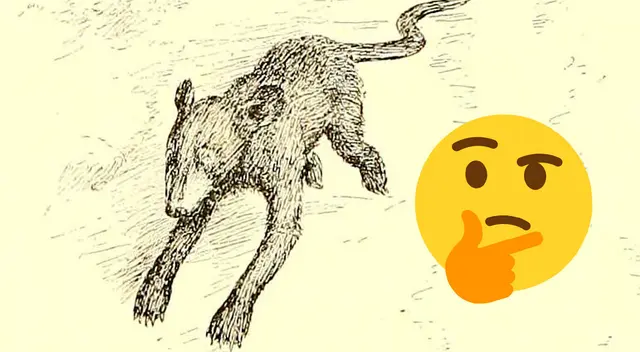 ¿Dónde están los dos animales? Alcanza a resolver este reto visual TOP en internet ¿Dónde están los dos animales? Alcanza a resolver este reto visual TOP en internet