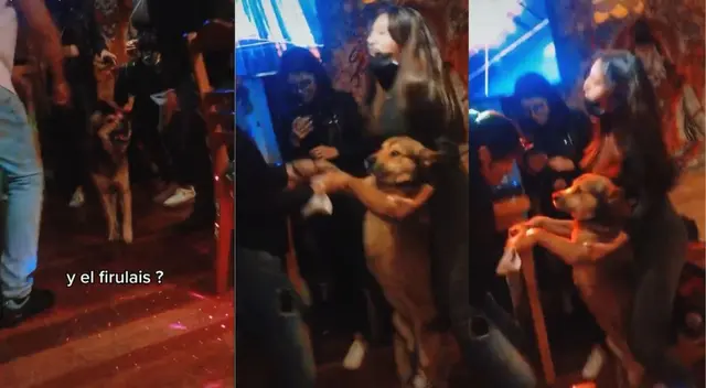 Jóvenes se encontraron un perro en un bar y realizando divertido baile - VIDEO Jóvenes se encontraron un perro en un bar y realizando divertido baile - VIDEO