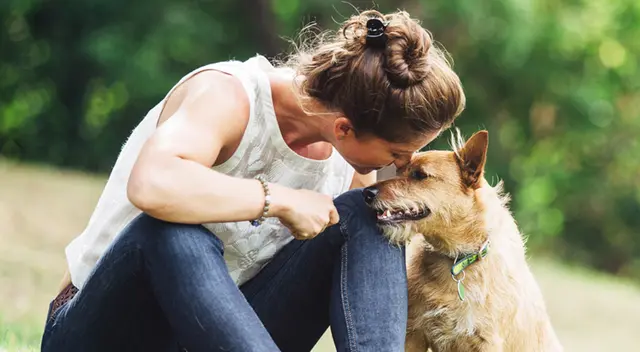 Conoce cómo elegir a tu perro acorde a tu personalidad, según la ciencia Conoce cómo elegir a tu perro acorde a tu personalidad, según la ciencia