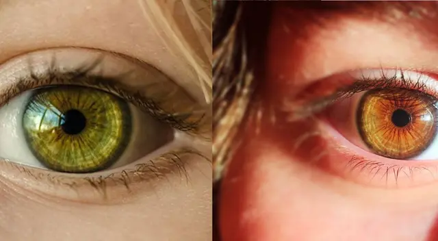EL curioso dato de los ojos y el ejercicio EL curioso dato de los ojos y el ejercicio
