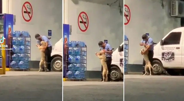 Un trabajador de una estación gasolinera causó ternura al congeniar con un perro. Un trabajador de una estación gasolinera causó ternura al congeniar con un perro.