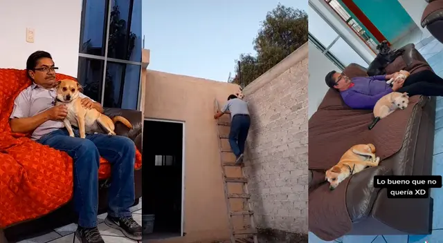 TikTok viral: su papá no quería perros en casa y al poco tiempo se volvió inseparable de las mascotas