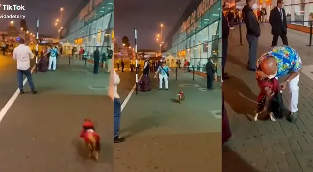 TikTok viral: Perro se reencuentra con su dueño tras más de un año sin verlo y protagoniza tierna escena TikTok viral: Perro se reencuentra con su dueño tras más de un año sin verlo y protagoniza tierna escena