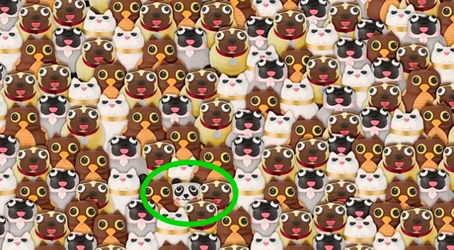 Aquí está el panda (Foto: composición Líbero)   