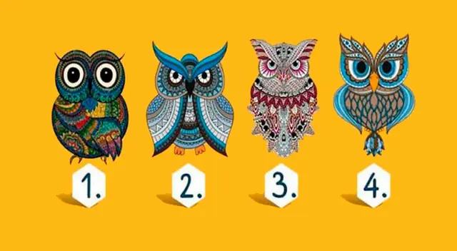 Uno de estos búhos revelará un aspecto desconocido de tu personalidad Uno de estos búhos revelará un aspecto desconocido de tu personalidad