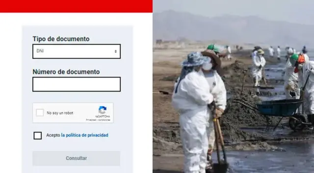 Bono Repsol 2022: ¿Cómo saber si podré cobrar el subsidio? Averígualo AQUÍ con tu DNI Bono Repsol 2022: ¿Cómo saber si podré cobrar el subsidio? Averígualo AQUÍ con tu DNI