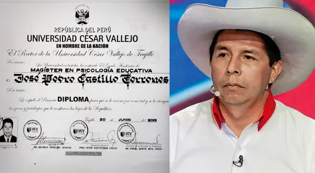 Tesis de Pedro Castillo