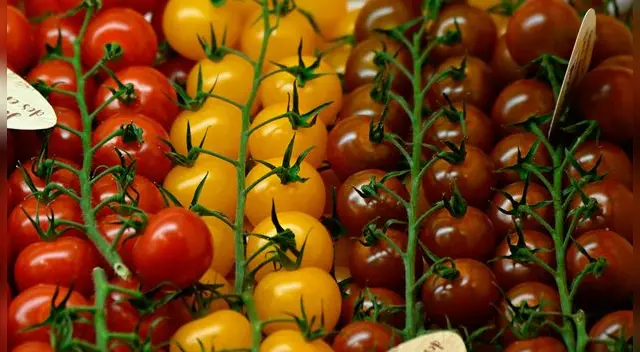 Un químico que acompañaba al tomate en los platos terminó por perjudicar al vegetal en las antiguas creencias.