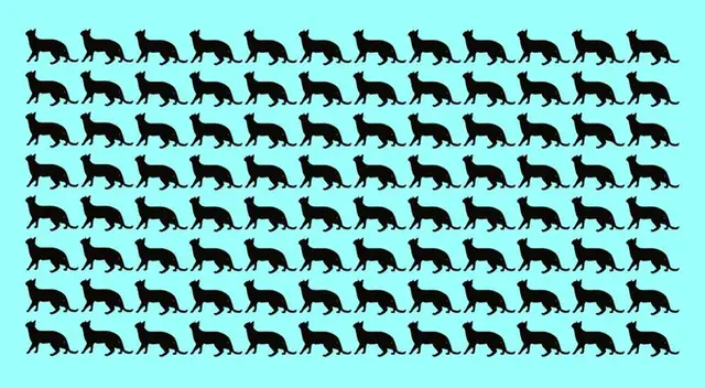 ¿Puedes resolver el reto visual de hoy en tiempo récord? ¿Puedes resolver el reto visual de hoy en tiempo récord?