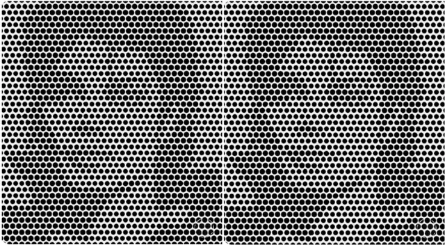 Ilusiones ópticas: ¿Qué rostro masculino ves? La ilusión óptica que revela si tienes una buena salud visual