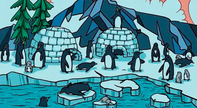 Encuentra a la foca en cuestión de segundos ¿Podrás hacerlo? Encuentra a la foca en cuestión de segundos ¿Podrás hacerlo?