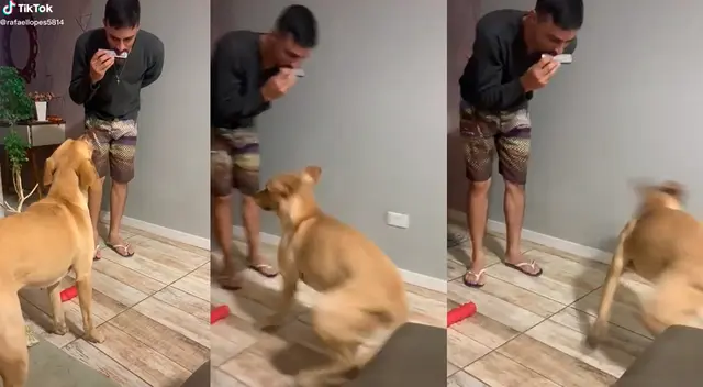 ¡Qué buen ritmo! Perrito saca los baila al ritmo de una canción tocada con armónica.