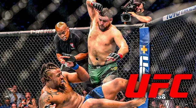UFC: reglas prohibidas de las artes marciales mixtas