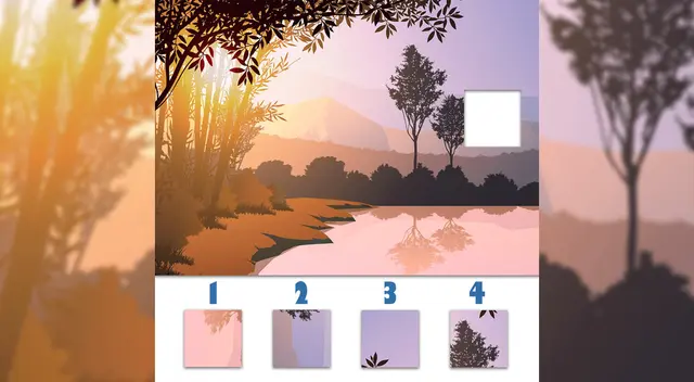 ¿Cuál pieza es la adecuada? este reto de rompecabezas debe resolverse en solo 10 segundos ¿Cuál pieza es la adecuada? este reto de rompecabezas debe resolverse en solo 10 segundos