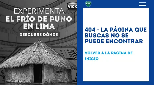 'Reconocemos la controversia causada', Vick retira polémica campaña tras ola de críticas