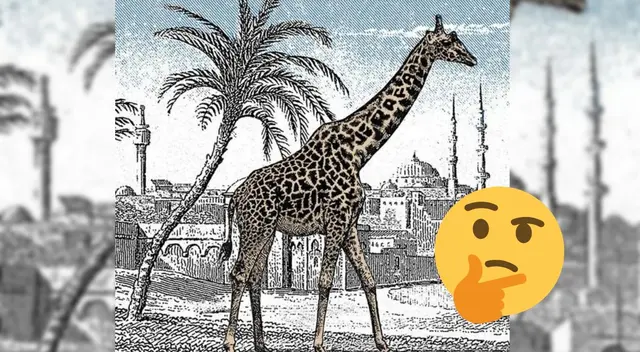 ¿Podrás encontrar a la segunda jirafa? Anímate a resolver este reto visual EXTREMO ¿Podrás encontrar a la segunda jirafa? Anímate a resolver este reto visual EXTREMO