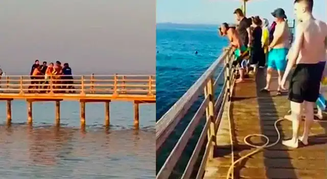 Ataque de tiburón deja dos personas fallecidas y una mujer gravemente herida en Egipto