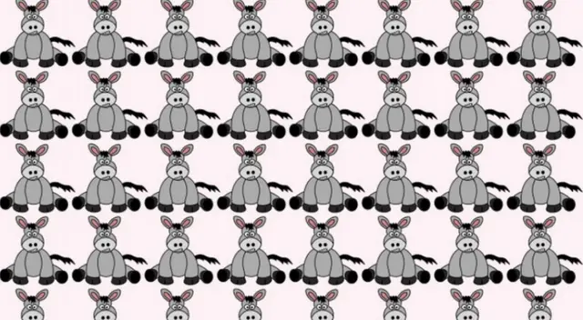 ¿Podrás encontrar al burro de color diferente? Atrévete a superar este reto visual ¿Podrás encontrar al burro de color diferente? Atrévete a superar este reto visual
