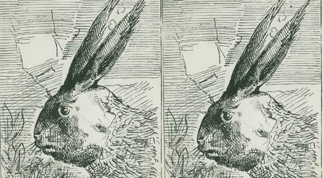 ¿Dónde está el dueño del conejo? Solo los GENIOS logran resolver el reto en 4 segundos