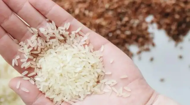 Estas son las razones por las cuales debes de lavar el arroz antes de cocinarlo