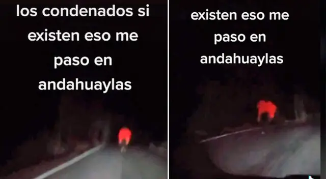 Jarjacha se cruzó en la ruta de un camionero que iba a la Sierra.