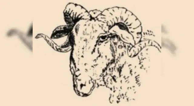 Solo cuentas con 7 segundos para resolver este reto visual. Solo cuentas con 7 segundos para resolver este reto visual.