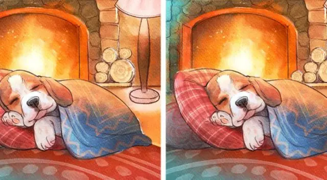 Reto visual: Encuentra las 3 diferencias en el pequeño perrito Reto visual: Encuentra las 3 diferencias en el pequeño perrito
