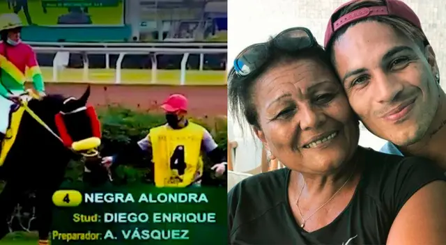Conoce el nombre de la yegua de Paolo Guerrero y Doña Peta Conoce el nombre de la yegua de Paolo Guerrero y Doña Peta