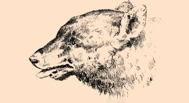 ¿Dónde está el oso? Este reto visual desafiará tu DESTREZA visual ¿Dónde está el oso? Este reto visual desafiará tu DESTREZA visual