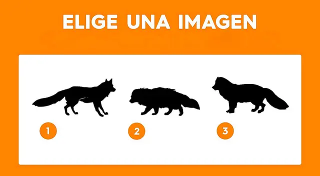 ¿Tienes una gran fuerza de voluntad? Uno de estos caninos revelará la respuesta