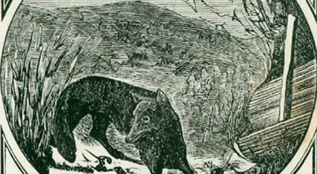 Supera este reto visual en tiempo récord. ¿Qué animal está escondido? Supera este reto visual en tiempo récord. ¿Qué animal está escondido?