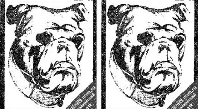 ¿Podrás encontrar al ladrón en tiempo récord? ¿Podrás encontrar al ladrón en tiempo récord?