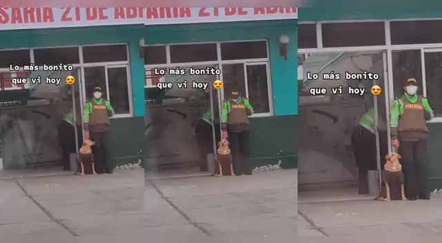 Policía y perrito enternecen con este vídeo