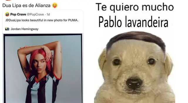 Mira los mejores memes de la victoria de Alianza Lima sobre Sport Boys