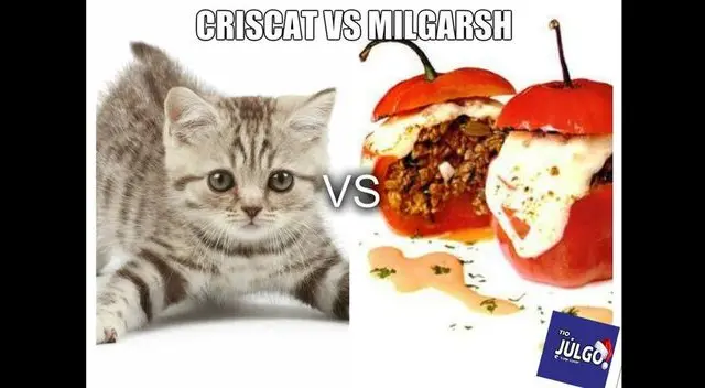 Cristal y Melgar siendo comparados por los hinchas Cristal y Melgar siendo comparados por los hinchas