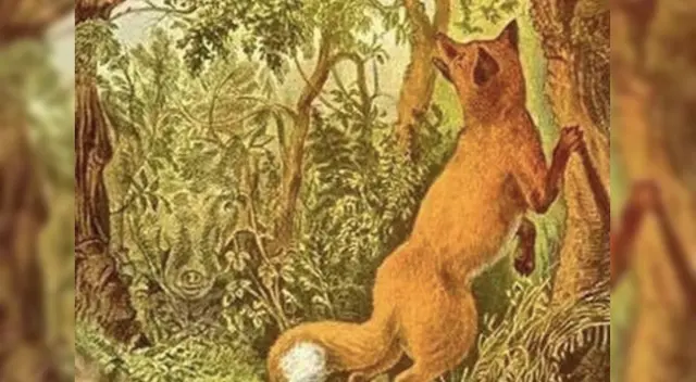 ¿Dónde está el segundo animal? Si superas este reto visual tienes una EXCELENTE visión
