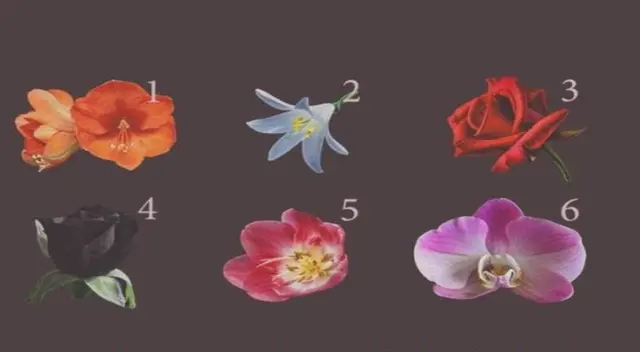 Test de personalidad: Elige la flor que más te guste y descubre más sobre ti